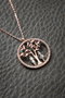Heliophilia Silver Collar de Metal Rosa 40+5 cm